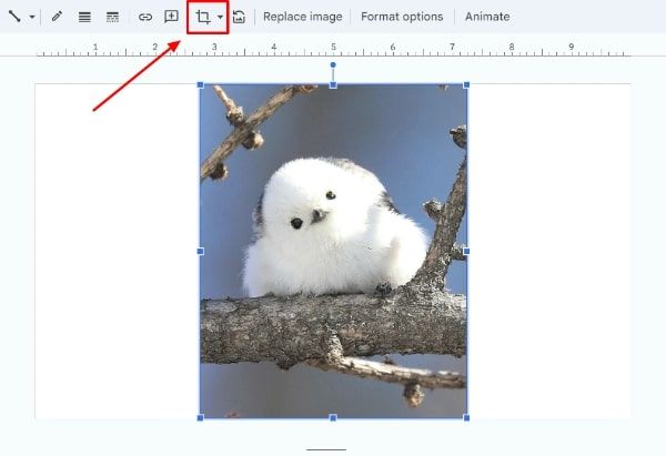 crop image to circle Google Slides