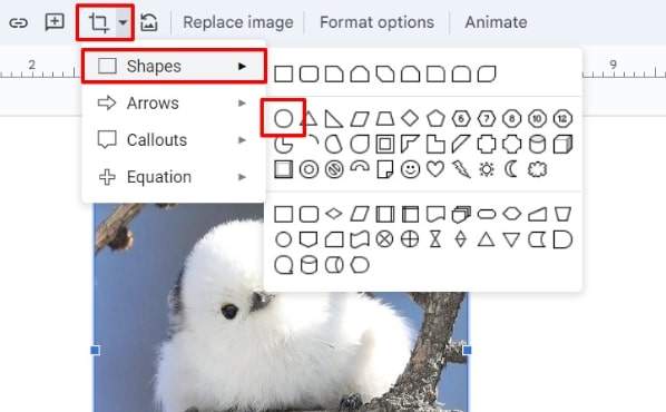 crop image into circle Google Slides