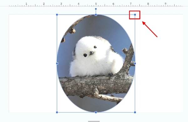 how to crop an image to a circle in Google Slides