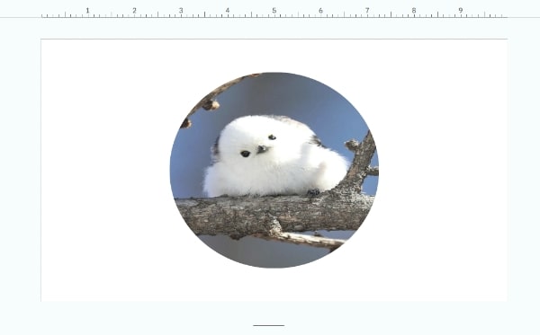 how to crop image to circle in Google Slides