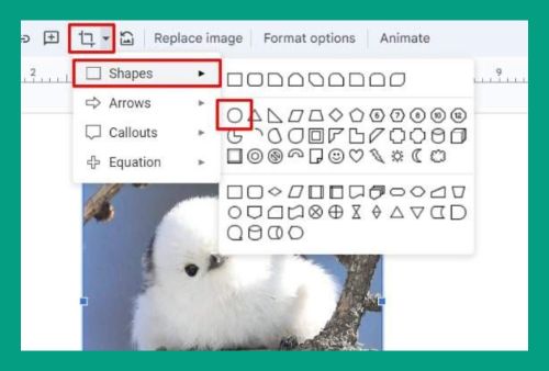 Crop Image to Circle in Google Slides (How to Do it in 2024)