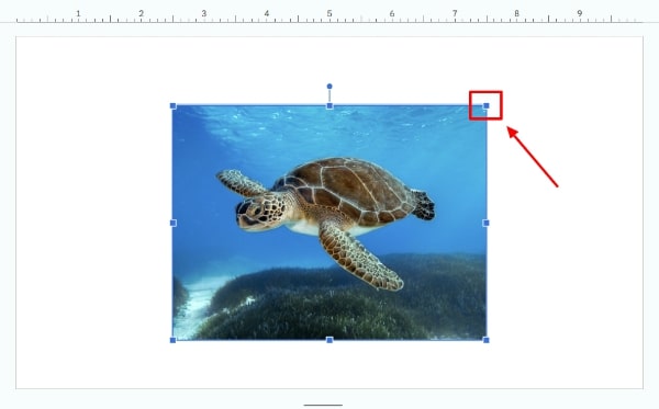 how to add an image to a shape in Google Slides