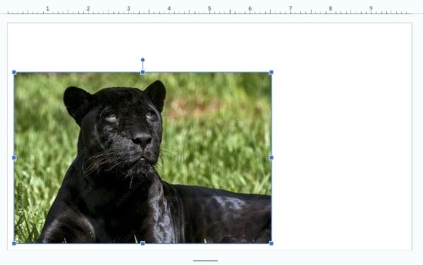 how to change the layer of an image in Google Slides