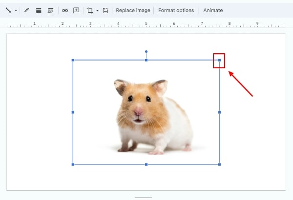 Google Slides image border