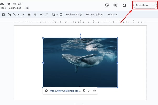 add link to image Google Slides